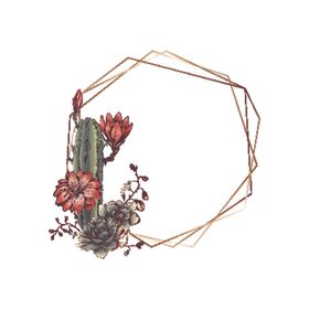 花朵