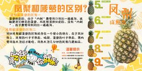 菠萝营养与挑选知识科普