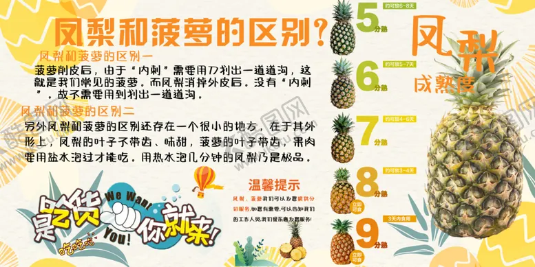 编号：99361506300436422924【酷图网】源文件下载-菠萝营养与挑选知识科普