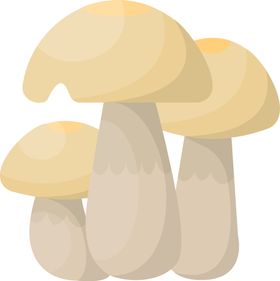 蘑菇菌类植物菌手绘卡通