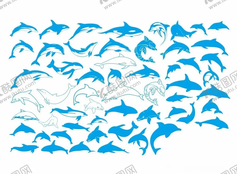 编号：35498802112213225015【酷图网】源文件下载-海豚线稿