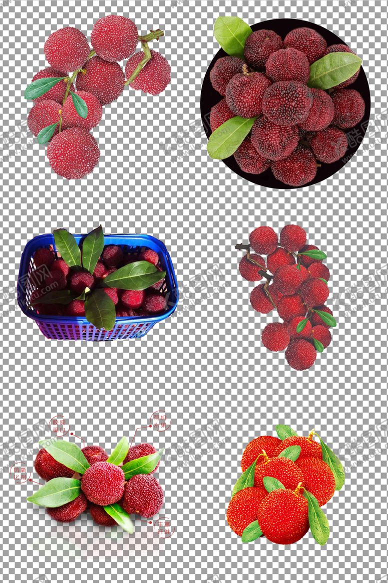 编号：98740609290011576864【酷图网】源文件下载-杨梅