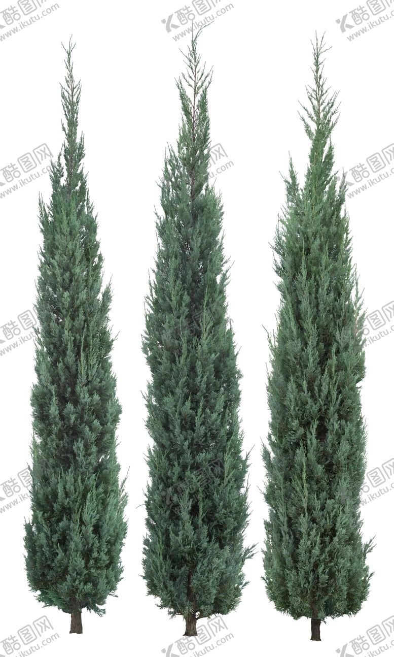 编号：59380110071620005549【酷图网】源文件下载-园林植物