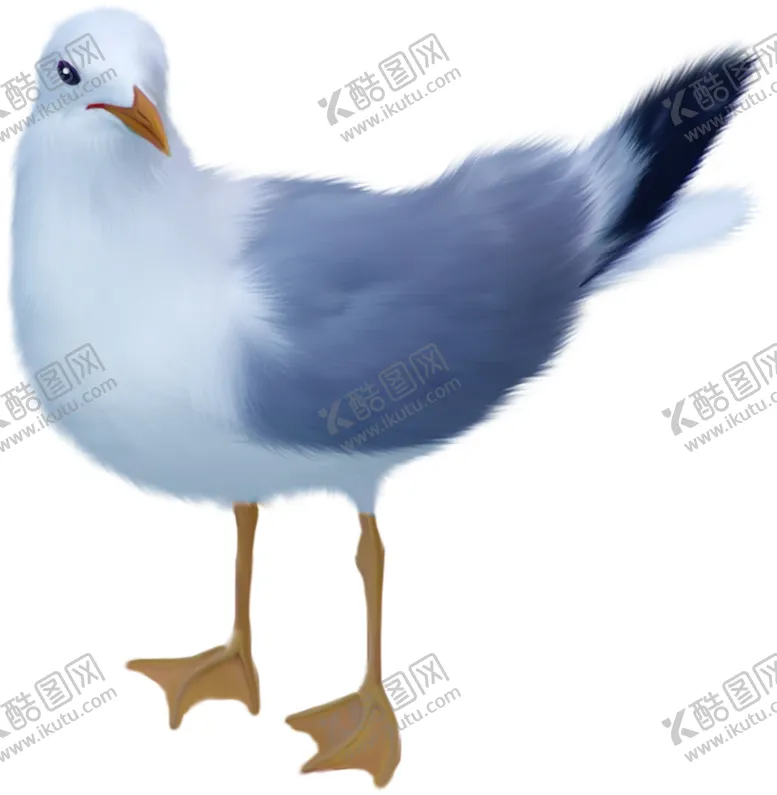 编号：18347206272031096069【酷图网】源文件下载-海鸥