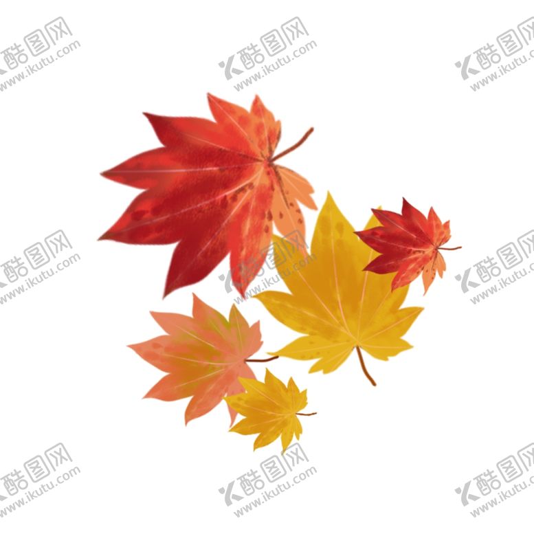 编号：77204312032023302516【酷图网】源文件下载-枫叶秋天景色秋意浓图片
