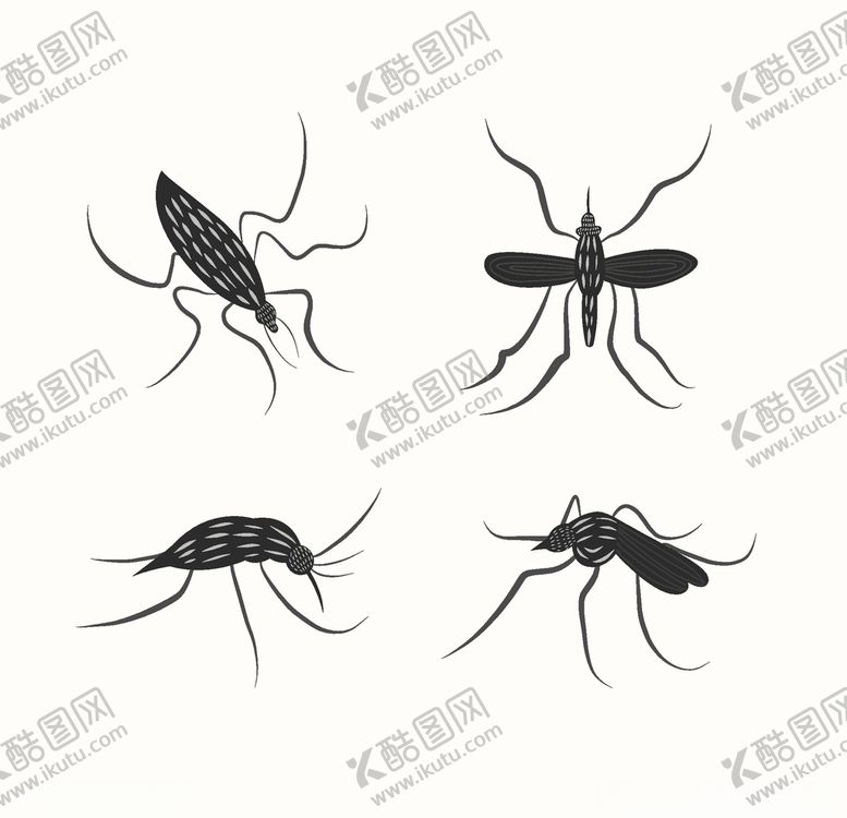 编号：37784205151314507616【酷图网】源文件下载-蚊子剪影