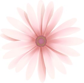 花 PNG 免抠图 素材