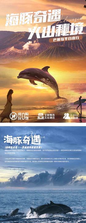 海豚奇遇火山秘境