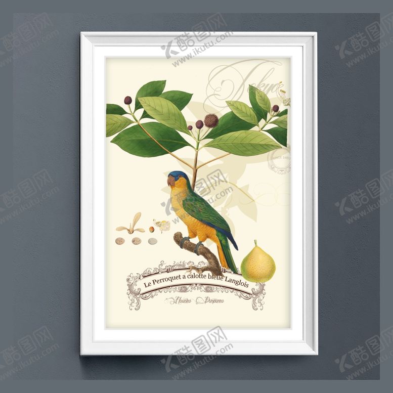 编号：85231309120404295998【酷图网】源文件下载-美式田园鹦鹉树叶装饰画