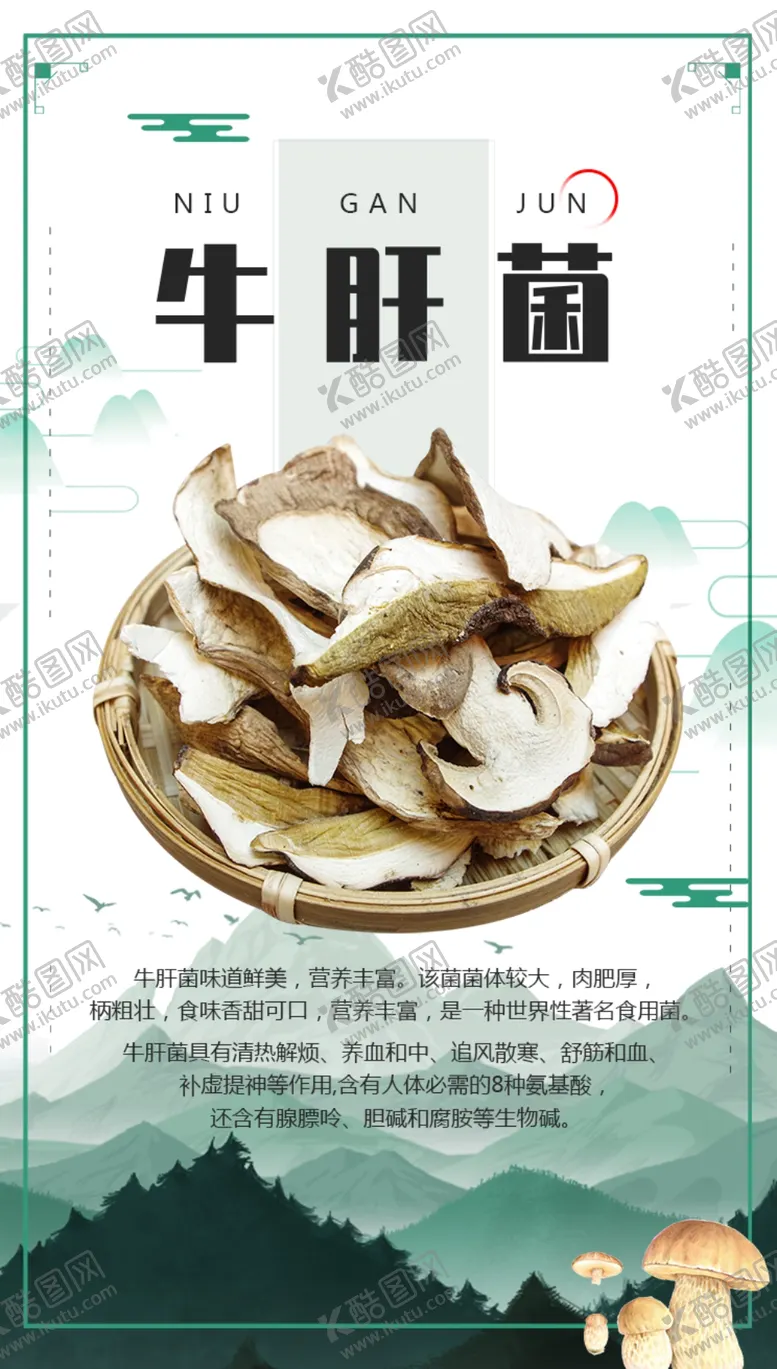 编号：63079209201153573867【酷图网】源文件下载-牛肝菌海报