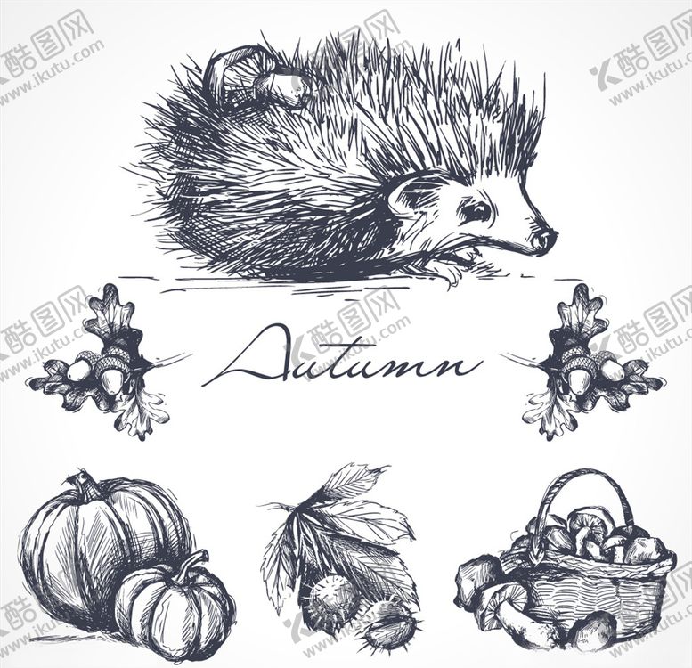 编号：99314407030325544544【酷图网】源文件下载-秋天元素