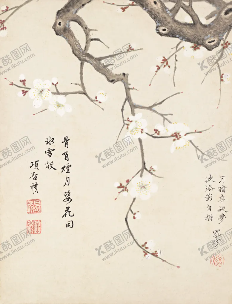编号：60771607041116366500【酷图网】源文件下载-精美工笔花卉图