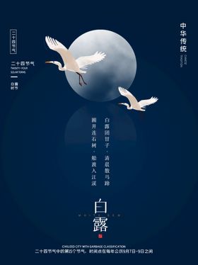 白露海报 中国风  传统节日 