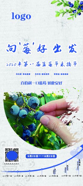 蓝莓展架