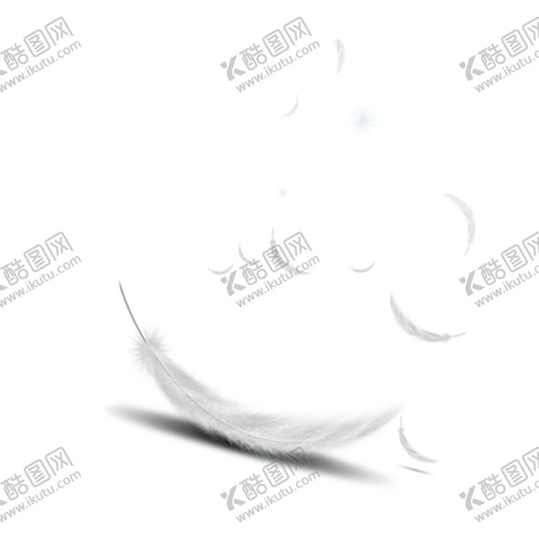 编号：40968010061209287387【酷图网】源文件下载-羽毛