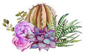 鲜花素材