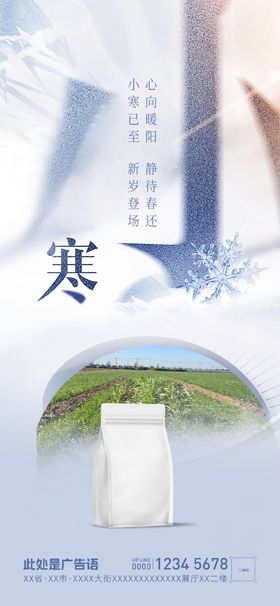 小寒节气海报24稿二十四大