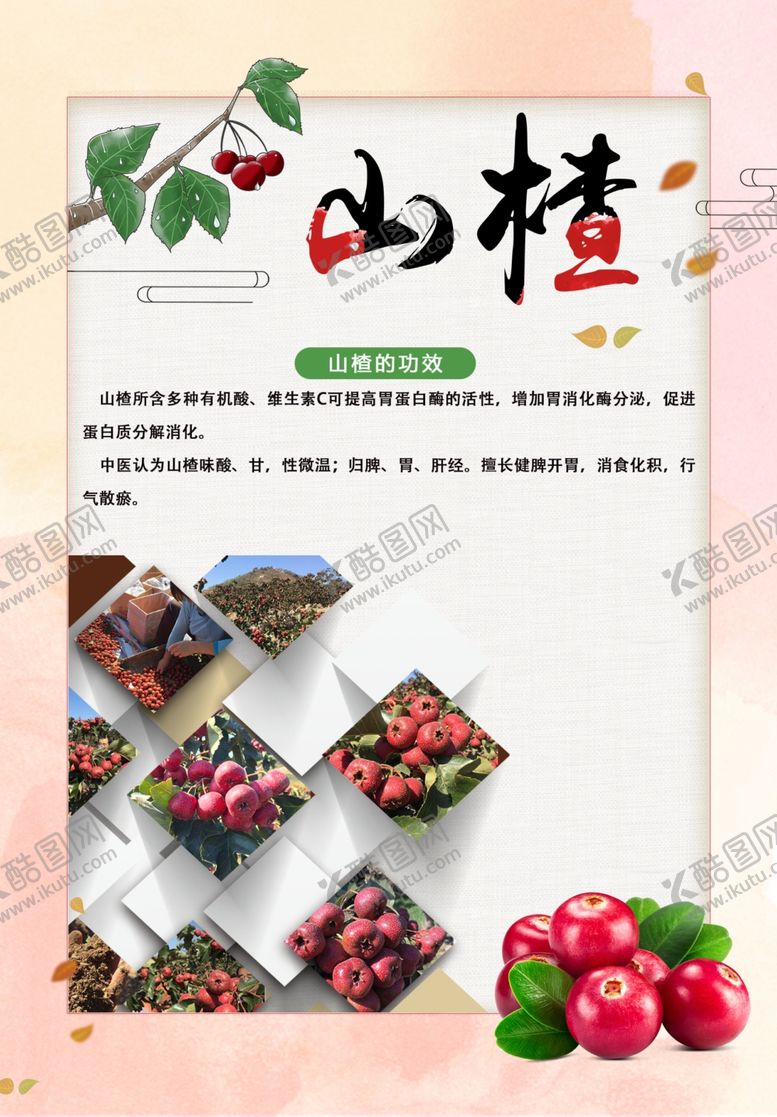 编号：95854905012040072819【酷图网】源文件下载-山楂