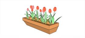 小花坛木花坛花盆植物室