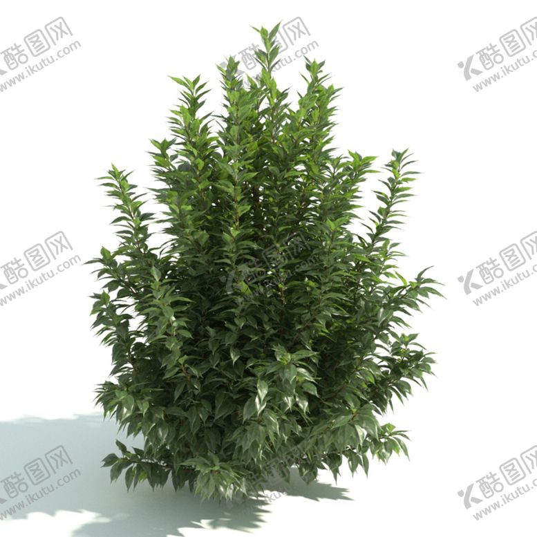 编号：95557001191131494028【酷图网】源文件下载-植物篱笆