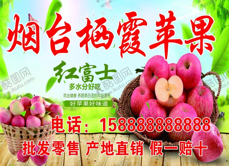 编号：48485201050321556602【酷图网】源文件下载-烟台苹果