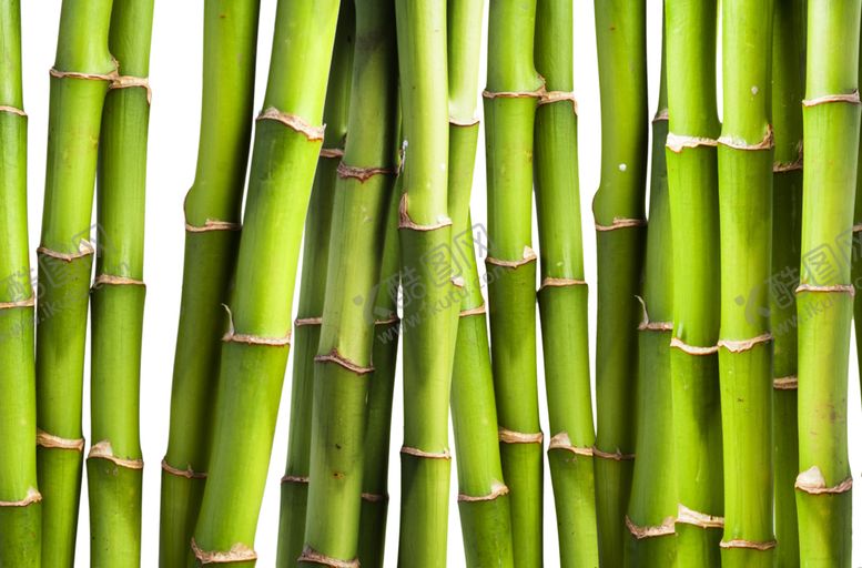 编号：72239510310305501328【酷图网】源文件下载-竹子