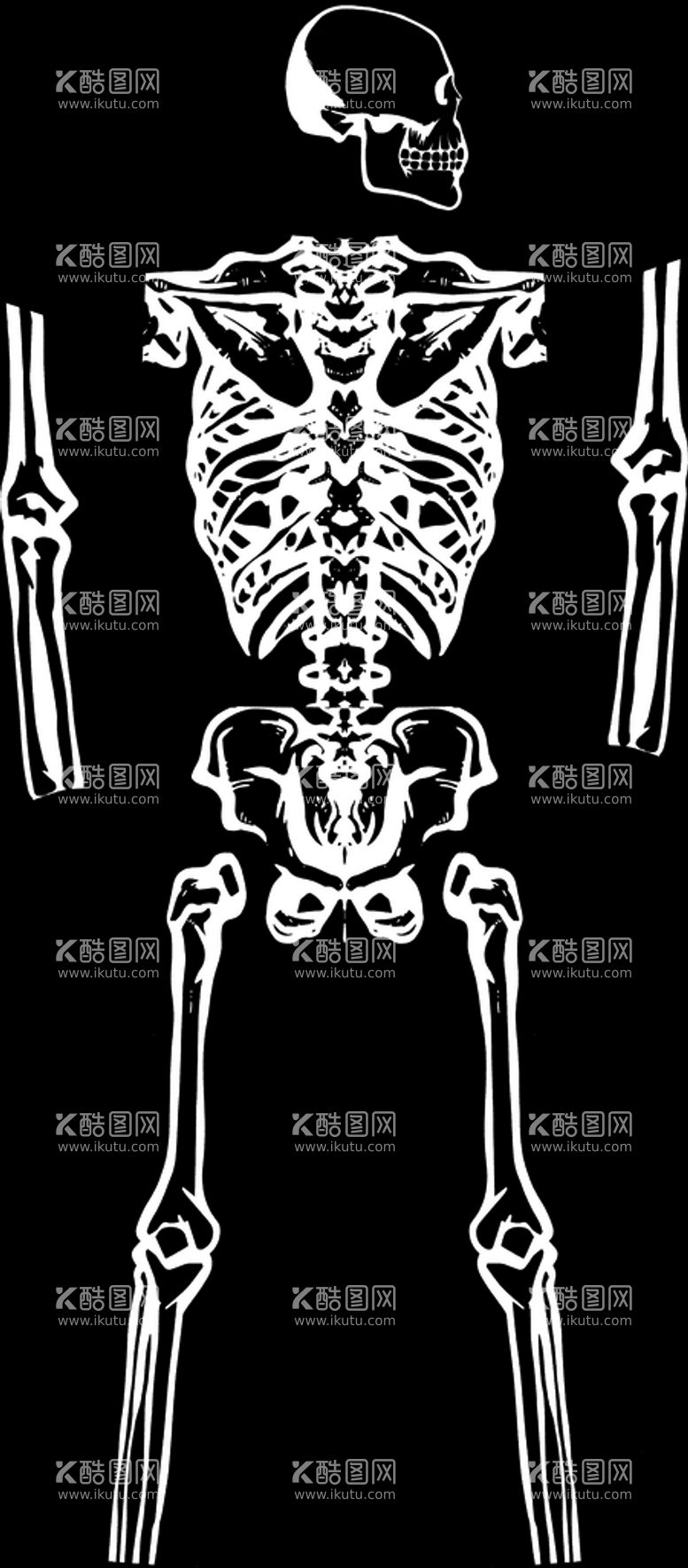 编号：63489709251856323967【酷图网】源文件下载-骷髅 定位花