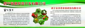 公司简介