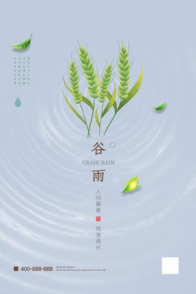 极简谷雨节气海报