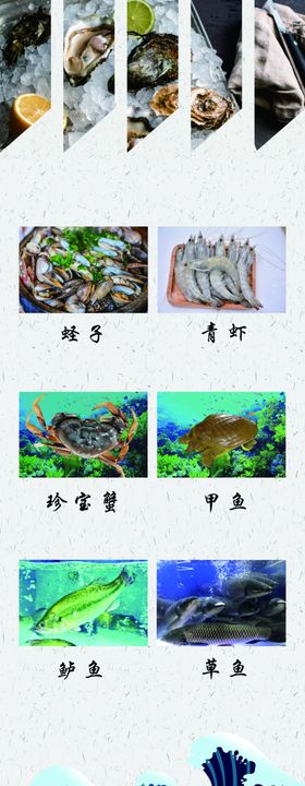 海鲜展板