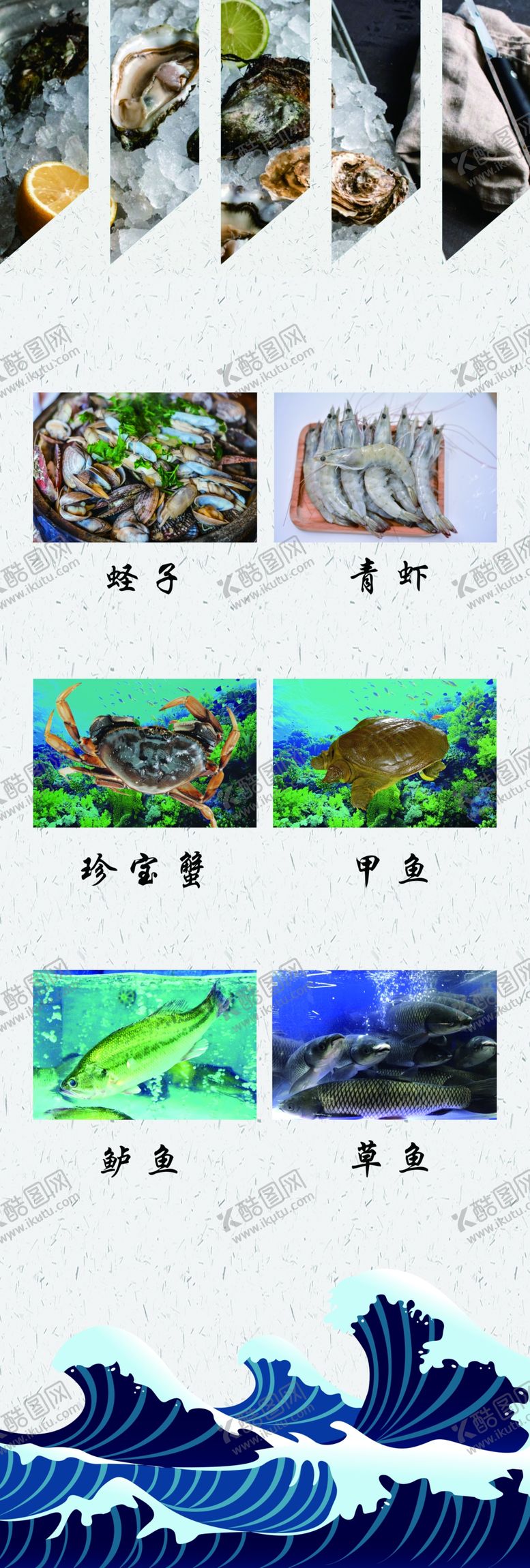 编号：87500205130006405136【酷图网】源文件下载-海鲜展板