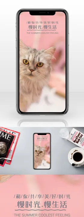 可爱猫咪慢生活手机配图