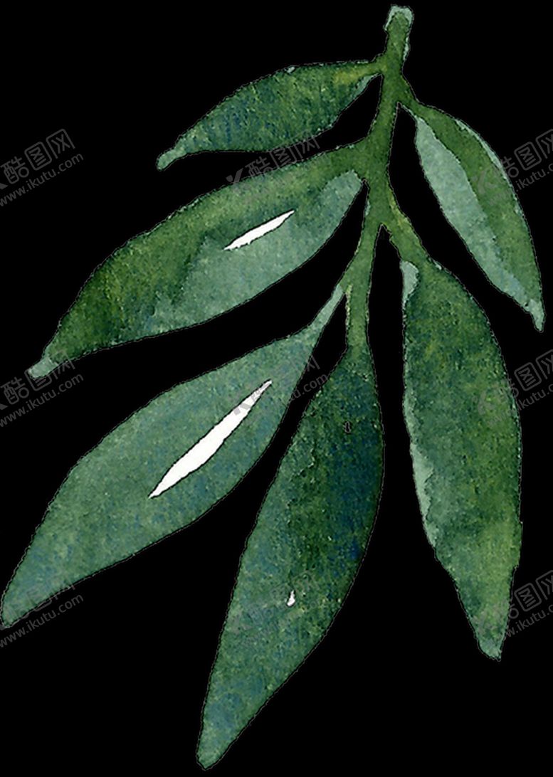 手绘叶子免扣png卡通花朵春天绿色