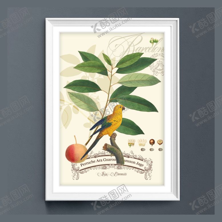 编号：19384110061708022482【酷图网】源文件下载-美式田园鹦鹉树叶装饰画