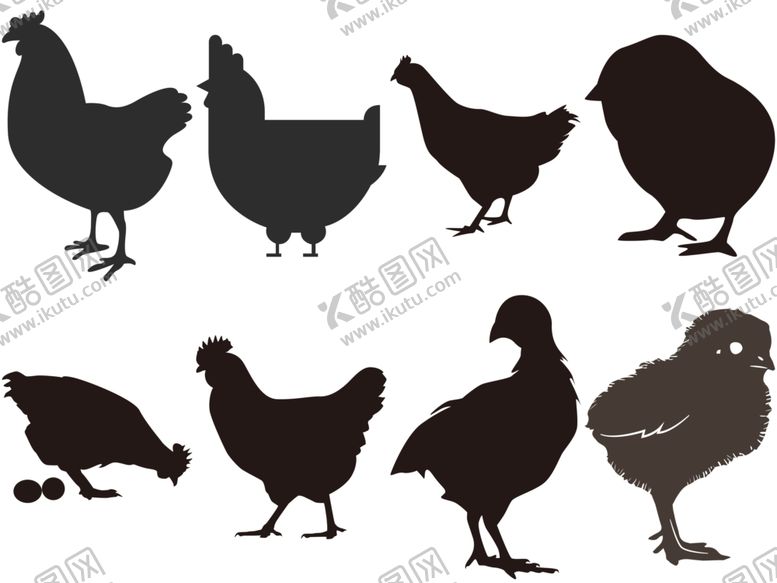 编号：82494009211328577604【酷图网】源文件下载-卡通鸡