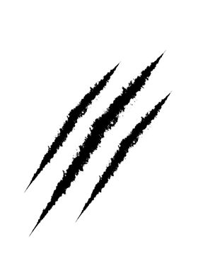 爪痕