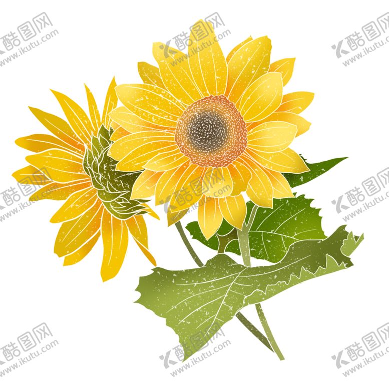 编号：58621402100451068972【酷图网】源文件下载-春季植物花朵 向日葵 夏天