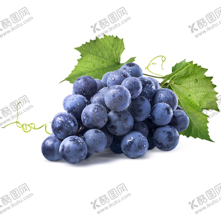 编号：86510209260743576390【酷图网】源文件下载-葡萄