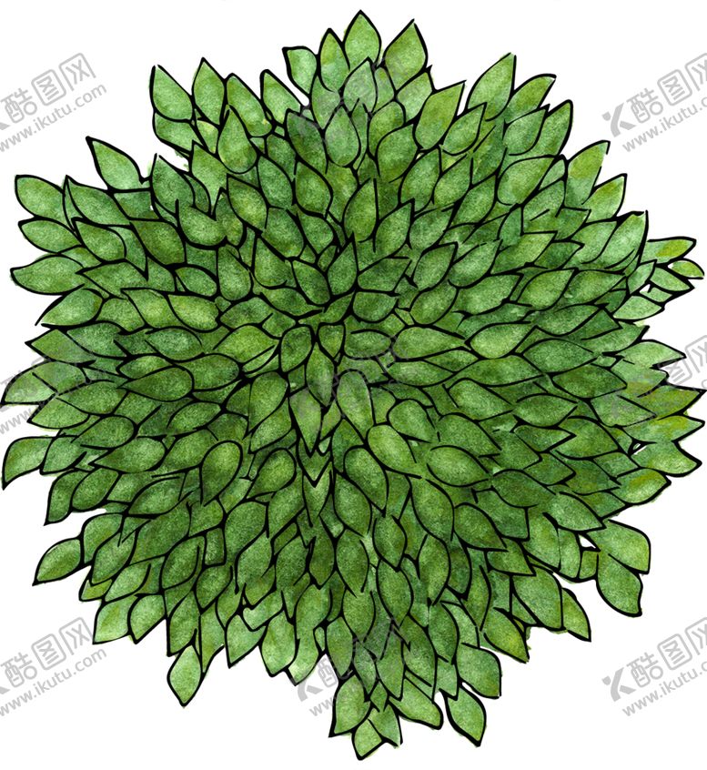 编号：30883805071311062046【酷图网】源文件下载-手绘植物