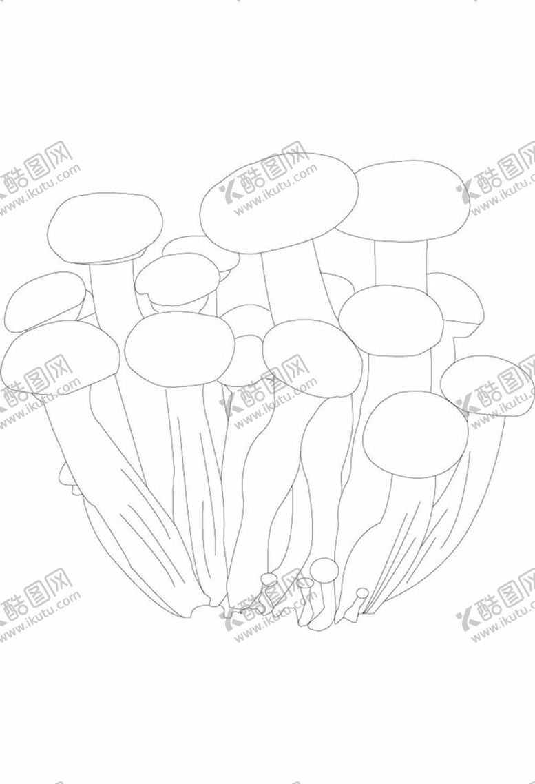 编号：12286602271512126353【酷图网】源文件下载-蘑菇插画花卉素描写生线稿素材