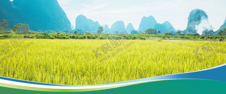 编号：50456310121259137128【酷图网】源文件下载-光盘行动节约粮食