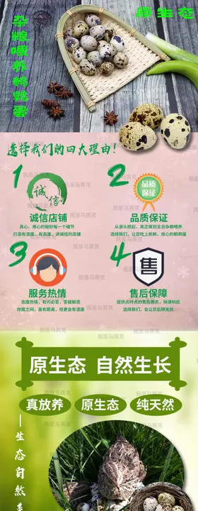 鹌鹑蛋零食详情页