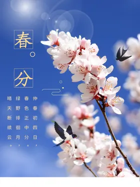 春分海报传统节气二十四节气