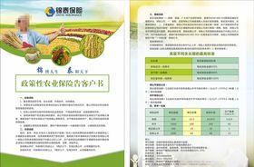 保险传单