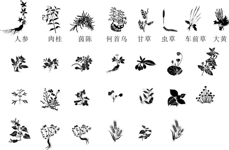 编号：31275409150749261769【酷图网】源文件下载-草药