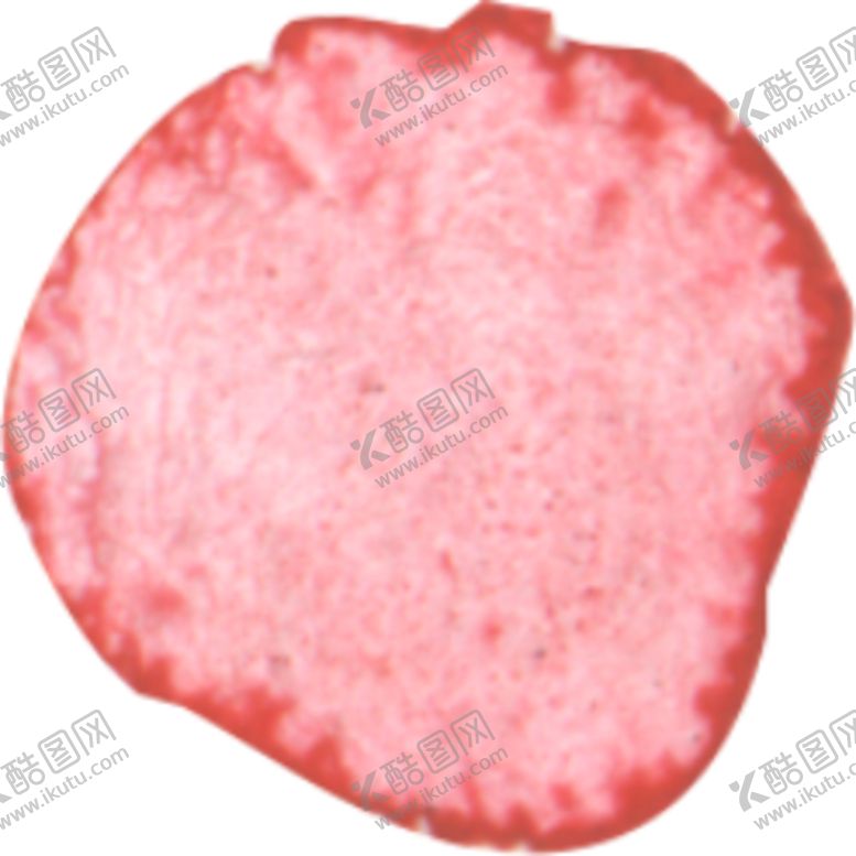 编号：58623509221758052272【酷图网】源文件下载-水彩手绘花卉花朵植物