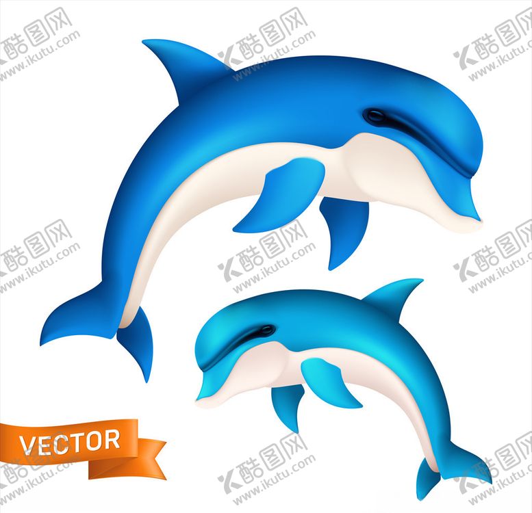 编号：44611310290002306230【酷图网】源文件下载-卡通海豚