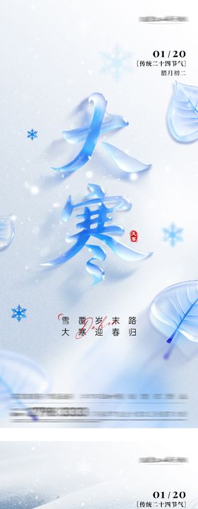 大寒质感节气海报