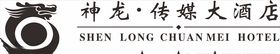 神龙传媒