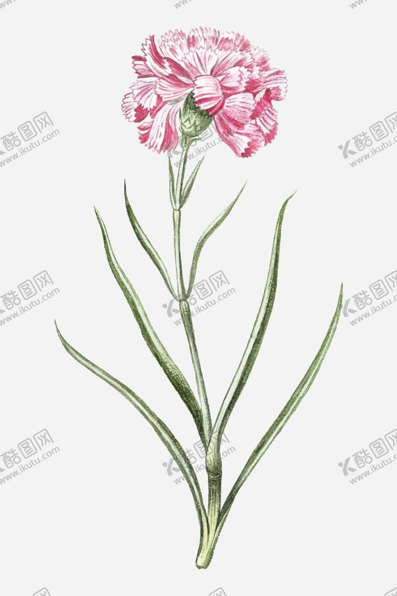 编号：90231510042201587218【酷图网】源文件下载-花